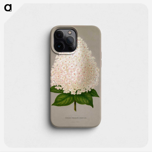 1-16_Nederlandsche-Flora-en-Pomona_phone
