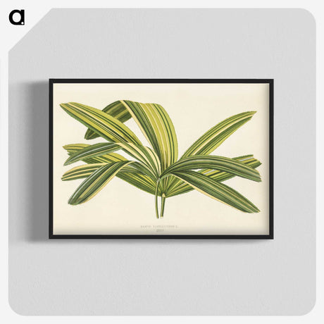 1-16_New-and-Rare-Beautiful-Leaved-Plants_blk-crop