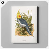 1-16_Parrots-in-Captivity_canvas