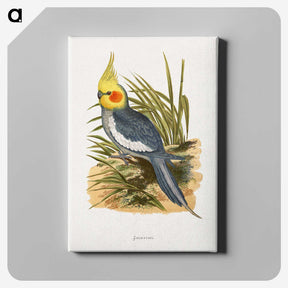1-16_Parrots-in-Captivity_canvas