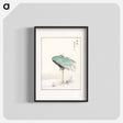 アートポスター-White-naped Crane and New Years Fern
 - 鳥類図鑑 Poster.