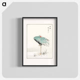 アートポスター-White-naped Crane and New Years Fern
 - 鳥類図鑑 Poster.
