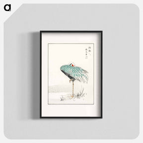 アートポスター-White-naped Crane and New Years Fern
 - 鳥類図鑑 Poster.