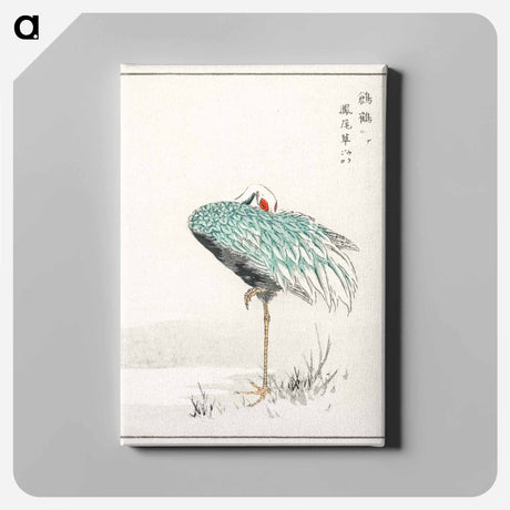 アートパネル-White-naped Crane and New Years Fern
 - 鳥類図鑑 Canvas.