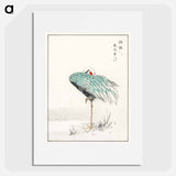 アートポスター-White-naped Crane and New Years Fern
 - 鳥類図鑑 Poster.