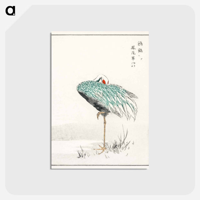 アートポストカード-White-naped Crane and New Years Fern
 - 鳥類図鑑 Postcard.