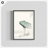1-16_Pictorial-Monograph-of-Birds_blk-crop