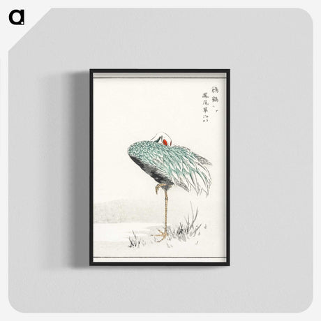 1-16_Pictorial-Monograph-of-Birds_blk-crop