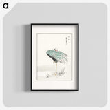 1-16_Pictorial-Monograph-of-Birds_blk