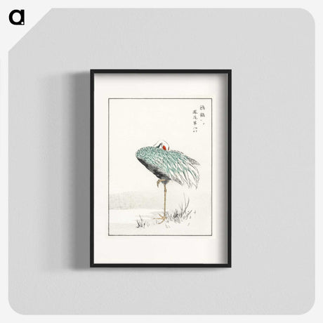 1-16_Pictorial-Monograph-of-Birds_blk