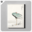 1-16_Pictorial-Monograph-of-Birds_canvas