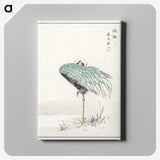 1-16_Pictorial-Monograph-of-Birds_canvas