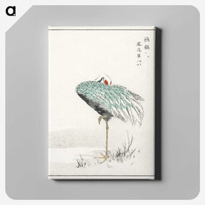 1-16_Pictorial-Monograph-of-Birds_canvas