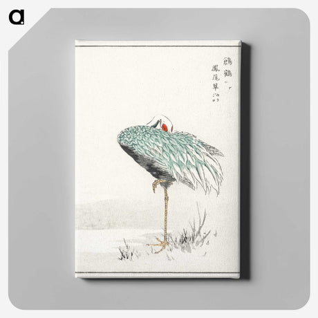 1-16_Pictorial-Monograph-of-Birds_canvas