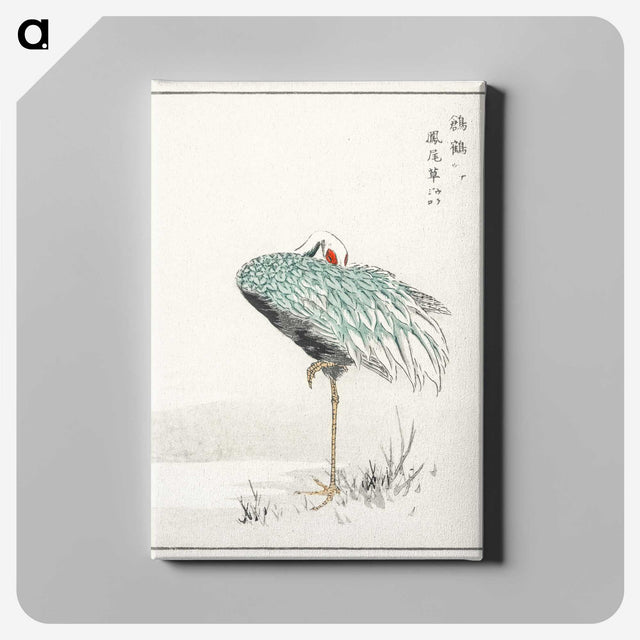 1-16_Pictorial-Monograph-of-Birds_canvas