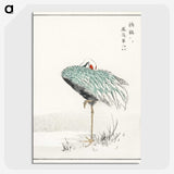 1-16_Pictorial-Monograph-of-Birds_picture-crop