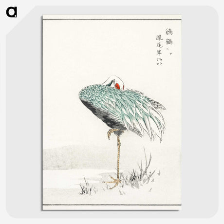 1-16_Pictorial-Monograph-of-Birds_picture-crop