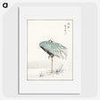 1-16_Pictorial-Monograph-of-Birds_picture