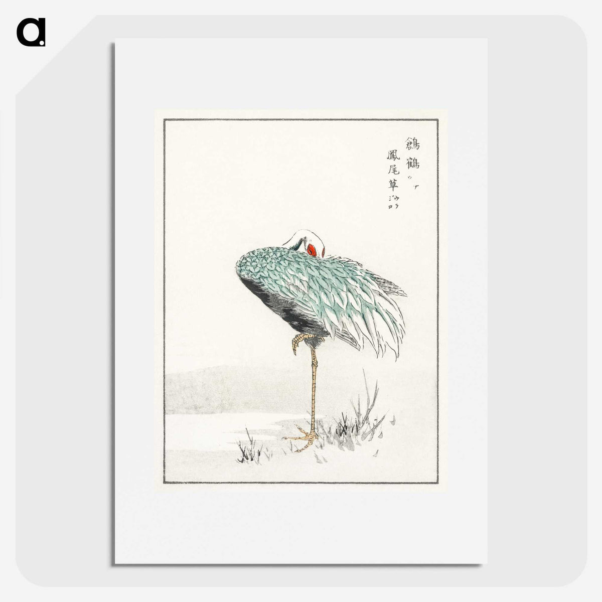1-16_Pictorial-Monograph-of-Birds_picture
