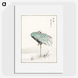 1-16_Pictorial-Monograph-of-Birds_picture