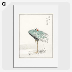 1-16_Pictorial-Monograph-of-Birds_picture