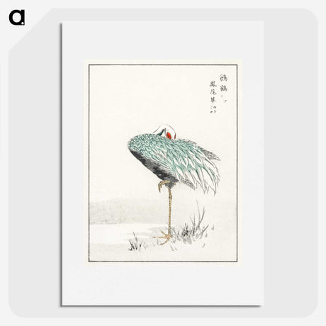 1-16_Pictorial-Monograph-of-Birds_picture