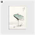 1-16_Pictorial-Monograph-of-Birds_postcard