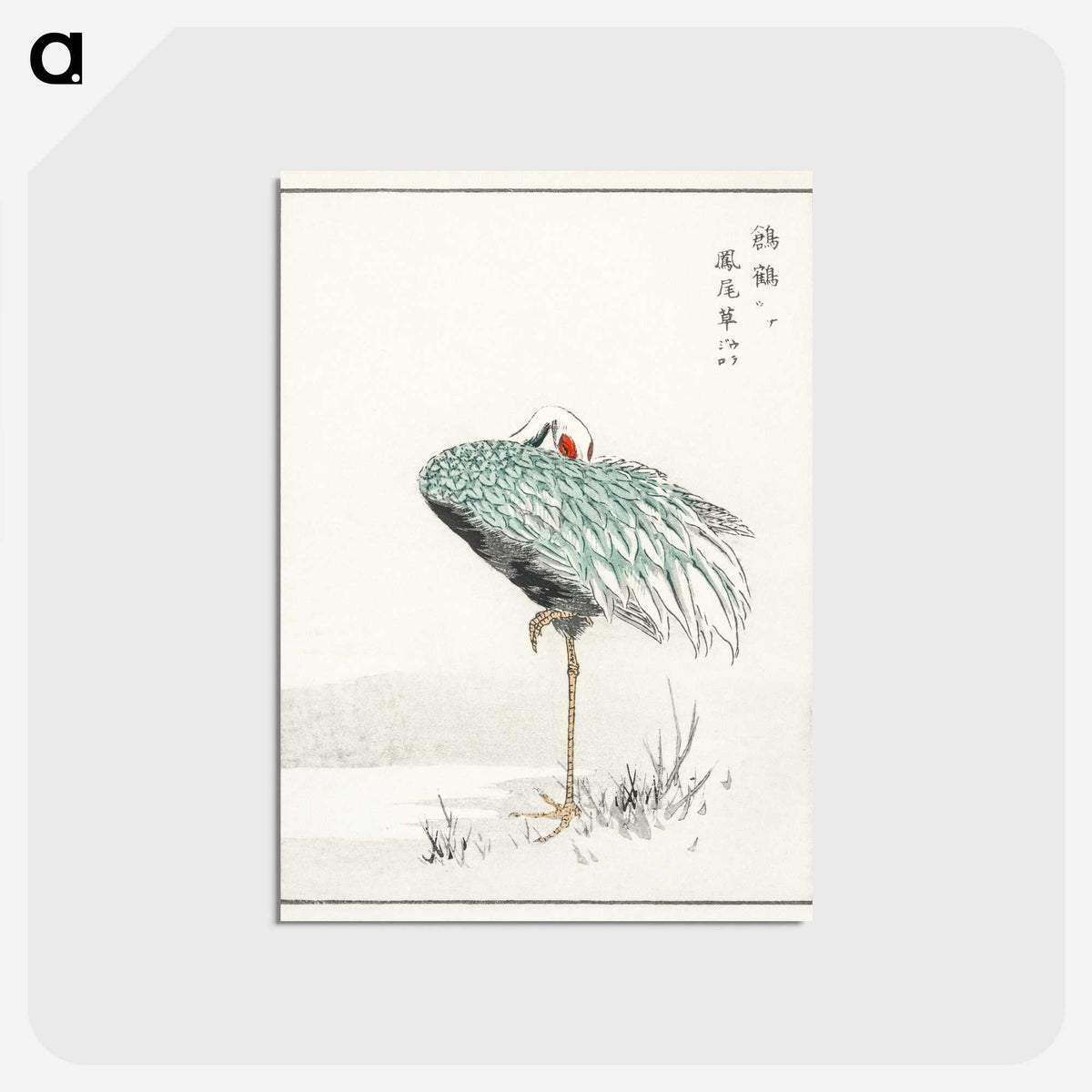 1-16_Pictorial-Monograph-of-Birds_postcard