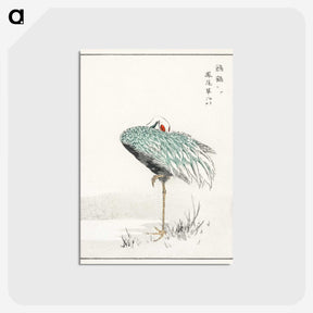 1-16_Pictorial-Monograph-of-Birds_postcard