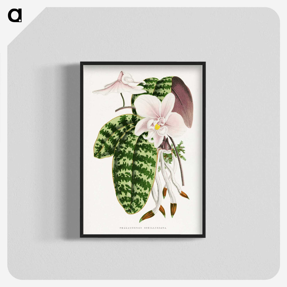 1-16_Plants-with-Colored-Foliage_blk-crop