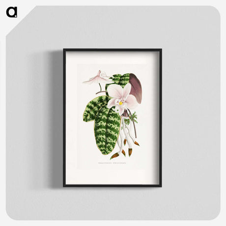 1-16_Plants-with-Colored-Foliage_blk