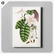 1-16_Plants-with-Colored-Foliage_canvas