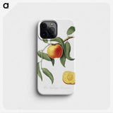 1-16_Pomona-Italiana_phone