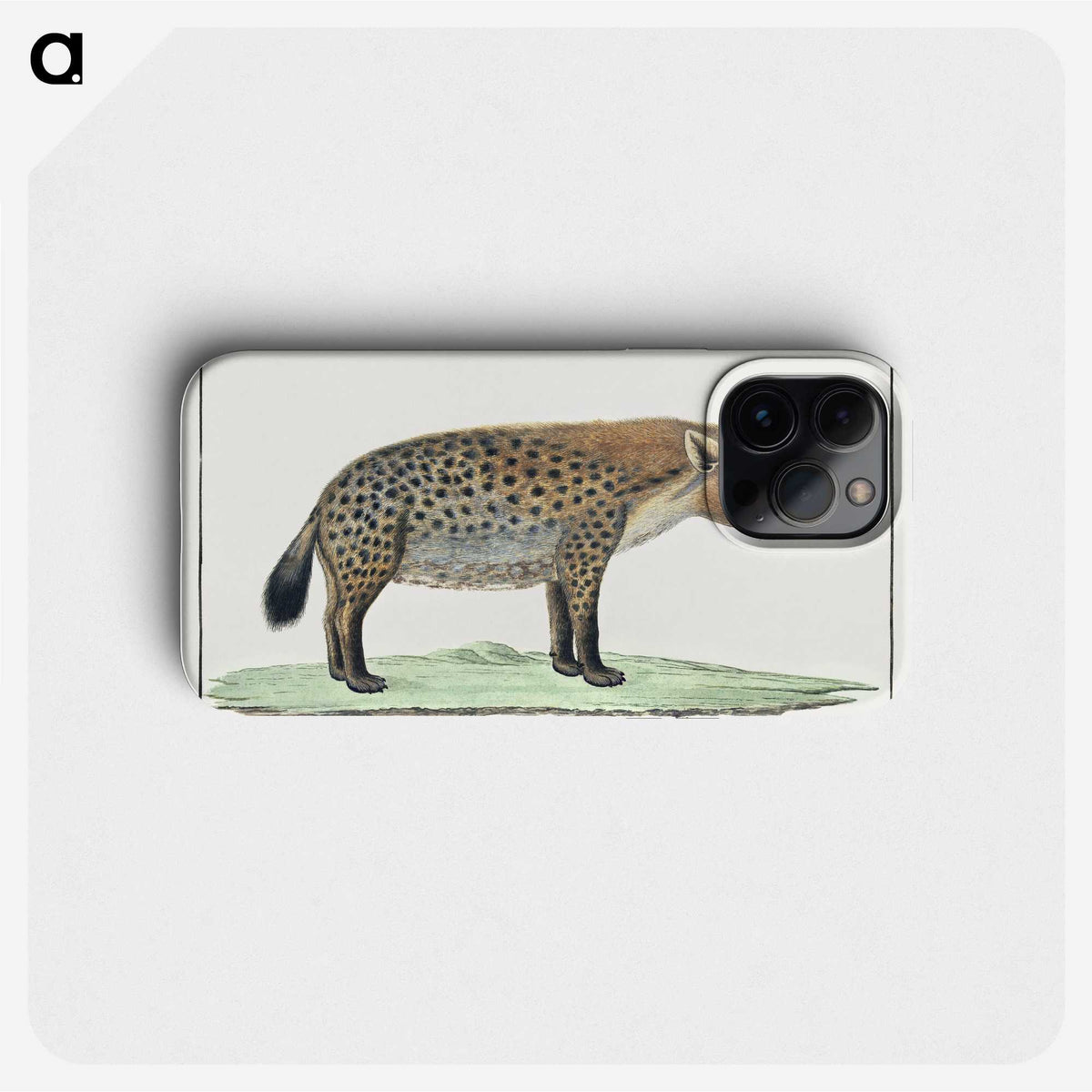 1-16_Robert-Jacob-Gordon_phone