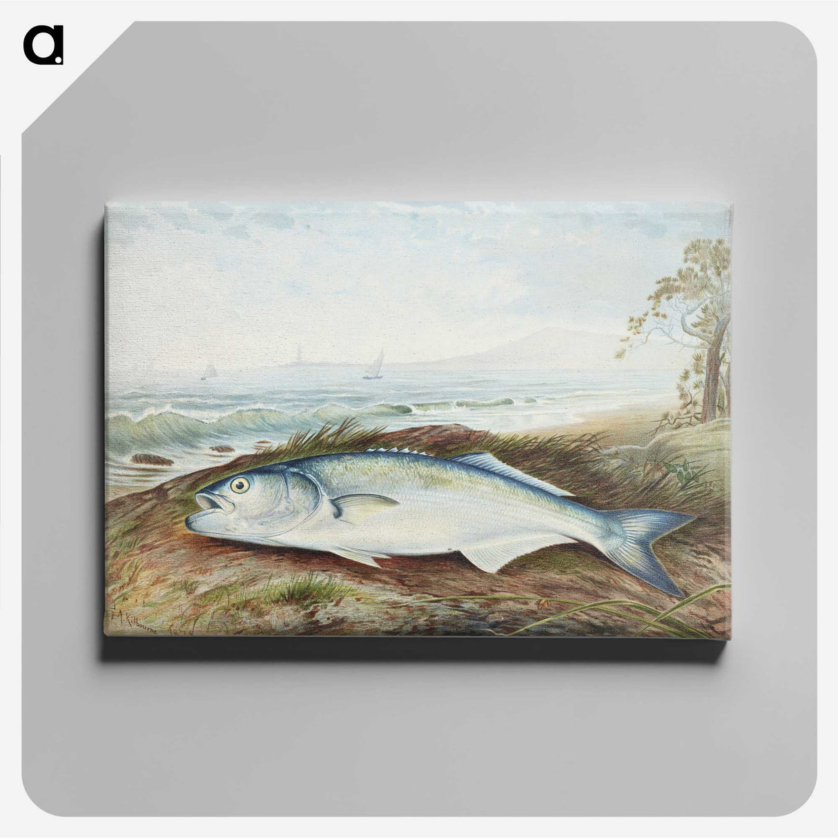 1-16_Samuel-Kilbourne_canvas