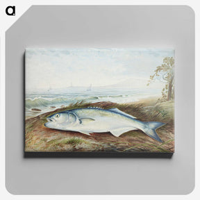 1-16_Samuel-Kilbourne_canvas