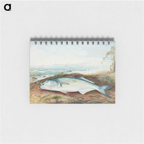 Sprat
 - サミュエル キルボーン Memo.