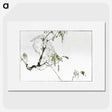 1-16_Seitei-Kacho-Gafu_picture