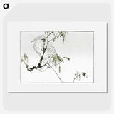 1-16_Seitei-Kacho-Gafu_picture