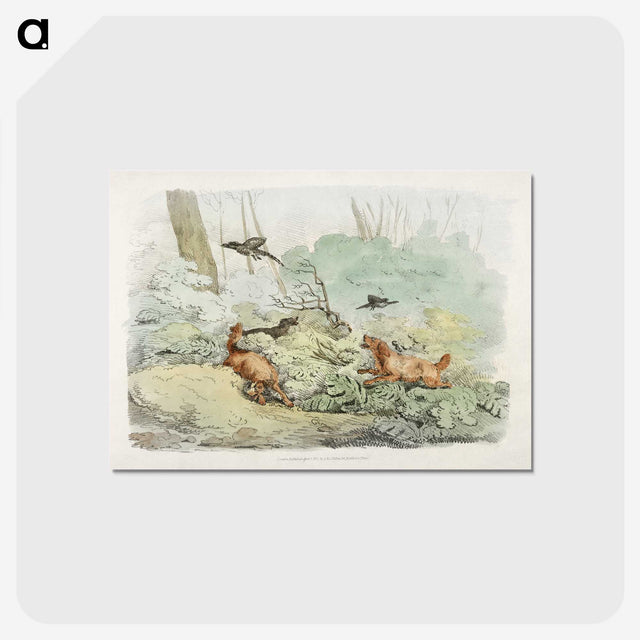 1-16_Sporting-Sketches_postcard