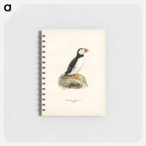 アートメモ帳-Atlantic Puffin
 - スヴェンスカ フォグラル Memo.