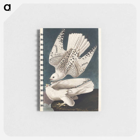 アートメモ帳-Iceland or Jer Falcon from Birds of America
 - アメリカの鳥たち Memo.