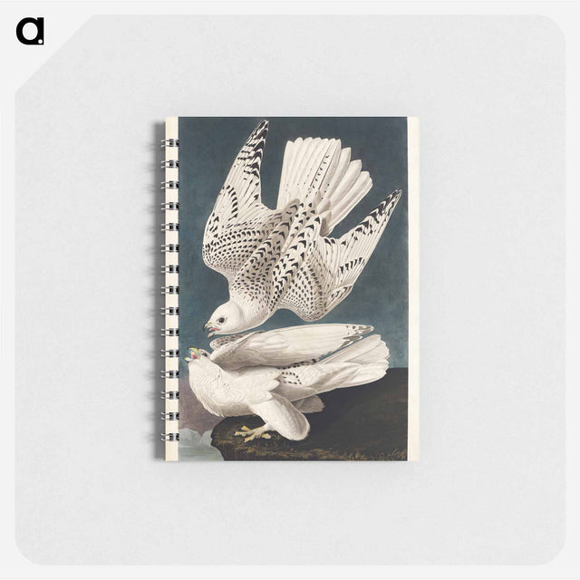 アートメモ帳-Iceland or Jer Falcon from Birds of America
 - アメリカの鳥たち Memo.