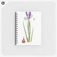1-16_The-Genus-Iris_memo