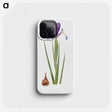 1-16_The-Genus-Iris_phone