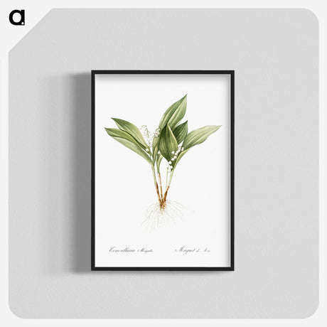 1-16_The-Lilies_blk-crop