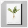 1-16_The-Lilies_canvas