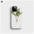 1-16_The-Lilies_phone