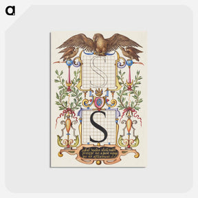アートポストカード-Guide for Constructing the Letter S
 - 書道のお手本 Postcard.