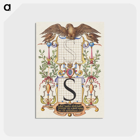 アートポストカード-Guide for Constructing the Letter S
 - 書道のお手本 Postcard.